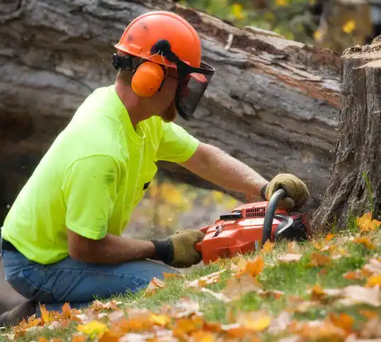 tree services Wetherington